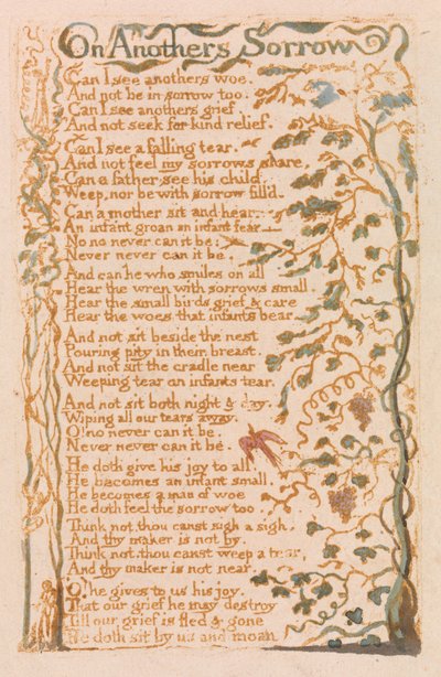 Canciones de Inocencia, Placa 24, Sobre el Dolor de Otros (Bentley 27) de William Blake
